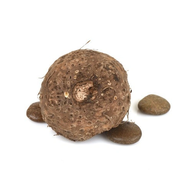 Suran|سوران - 1.5Kg-1.8Kg, 1Pc