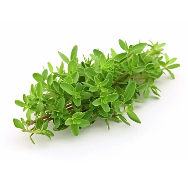 zaathar|زعتر - 500g
