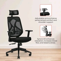  IFA-ERGOLUX-HB-B/B IAFA Ergolux High Back Ergonomic Office Chair with Ad Heavy Duty Metal Base Mesh Office Adjustable Arm Chair  (Black, Grey, DIY(Do-It-Yourself))