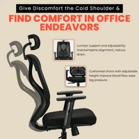 IAFA Ergolux High Back Ergonomic Office Chair with Ad Heavy Duty Metal Base Mesh Office Adjustable Arm Chair  (White, Grey, DIY(Do-It-Yourself))