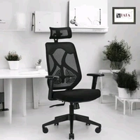 IAFA Ergolux High Back Ergonomic Office Chair with Ad Heavy Duty Metal Base Mesh Office Adjustable Arm Chair  (White, Grey, DIY(Do-It-Yourself))
