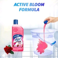 Lizol. Lizol Floor Cleaner 500 ml.