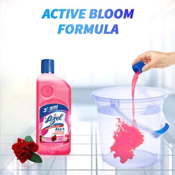 Lizol. Lizol Floor Cleaner 500 ml.