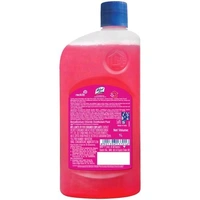 Lizol. Lizol Floor Cleaner 500 ml.