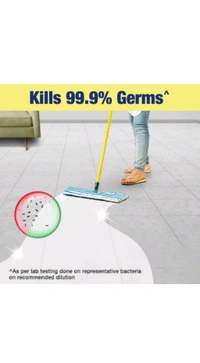 Lizol. Lizol Floor Cleaner 500 ml.