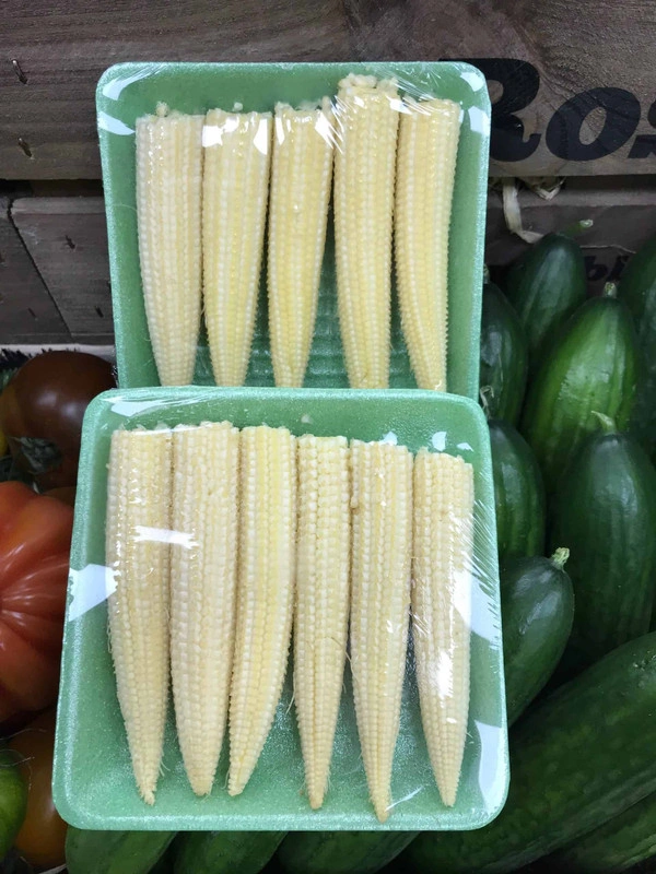 Baby Corn