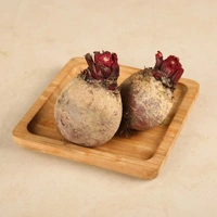 Beetroot (Chukandar)