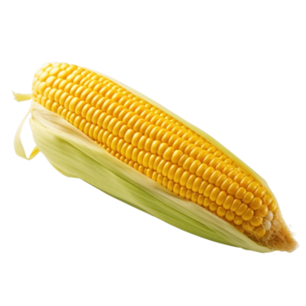 Bhutta