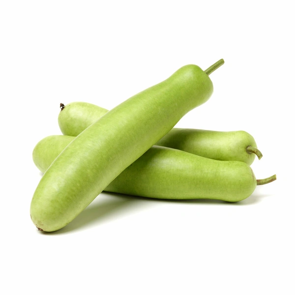 Bottle Gourd Large (Lauki)