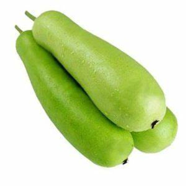 Bottle Gourd Small (Lauki)