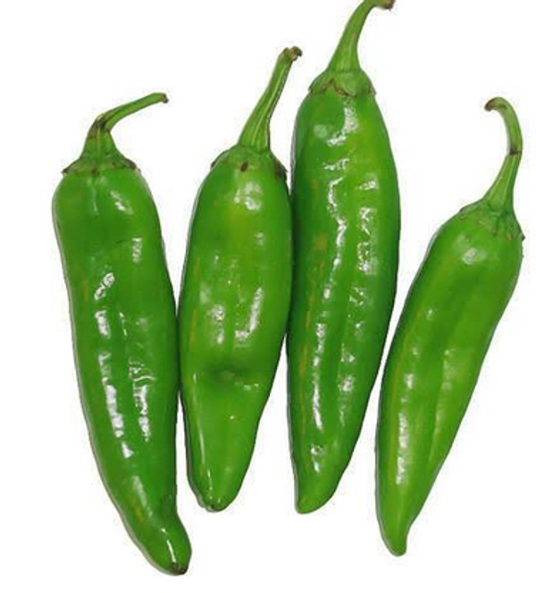 Chilli Green Picador (Achari Mirch)