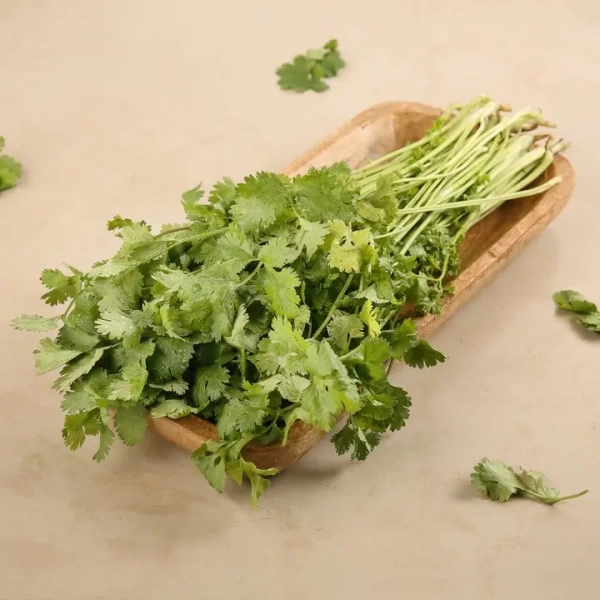 Coriander Leaves (Dhaniya Patta)
