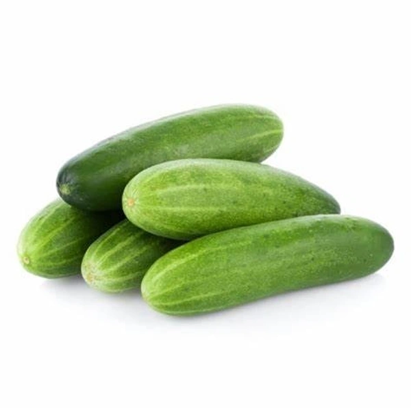 Cucumber Hybrid (Kheera)