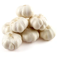 Garlic China (Leshun Mota)
