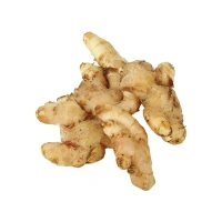 Ginger (Adrak)