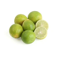 Lemon Desi (Nimbu)