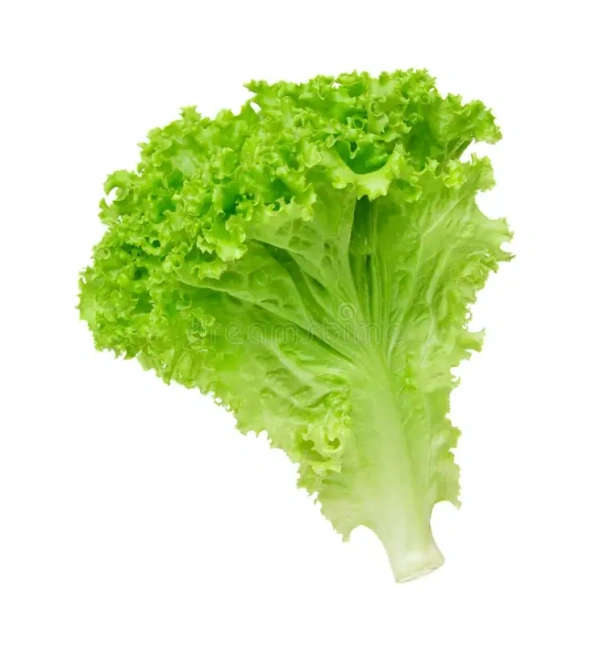 Lettuce Green