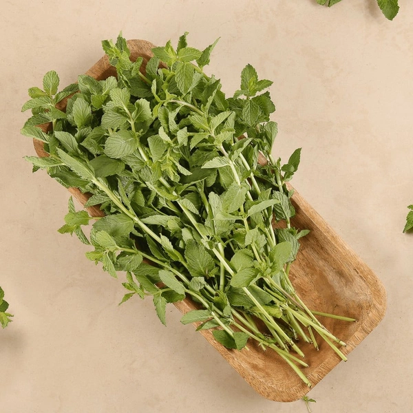 Mint (Pudina)