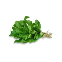 Mint (Pudina)