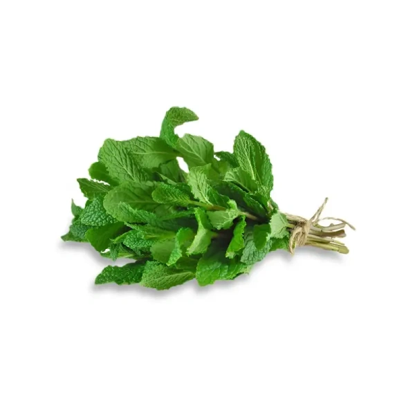 Mint (Pudina)