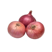 Onion Local (Pyaaj)