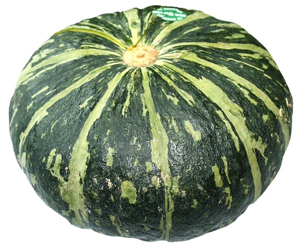 Pumpkin Green (Sitaphal)