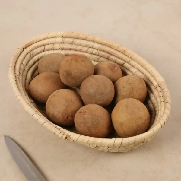 Freszi Sapota (Chiku)