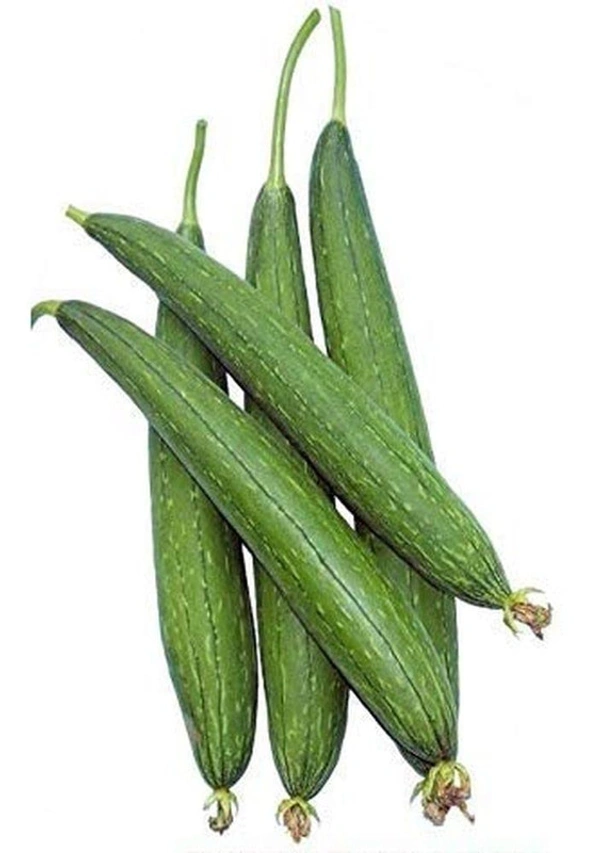 Sponge Gourd (Torai)