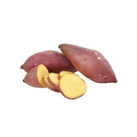 Sweet Potato (Shakarkandi)