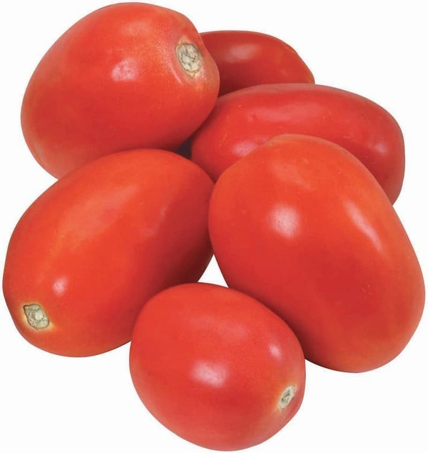 Tomato Hybrid