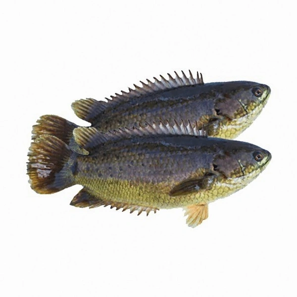 Desi Koi 250g - Cleaned Box Packed, 250g, Box Packed