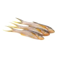 Desi Topse  ( Gross Weight 250 G)