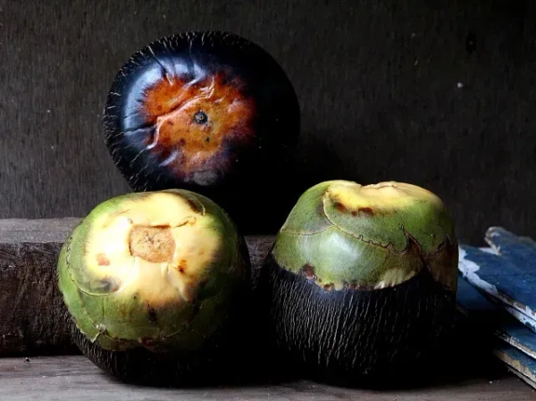 Taal - 3Kg, week end