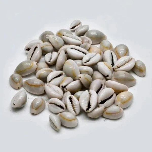 Dashakarma  Kodi  - 1  peice