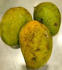 Malda Special Super Fine Mango - Carbide Free 