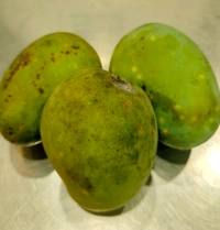Malda Special Popita Mango - Carbide Free 
