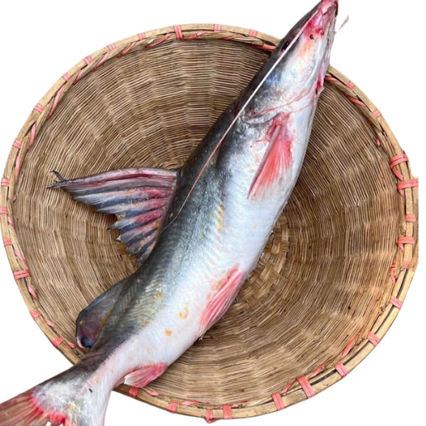 Desi Aar - 500g, Cleaned Box Packed