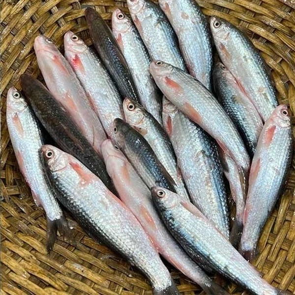 Desi Bata - Cleaned Box Packed, 250g, Box Packed