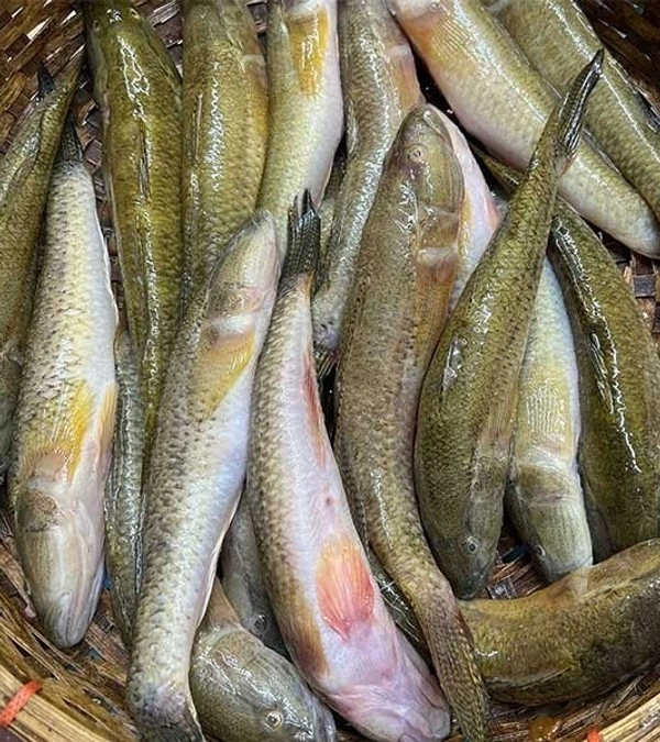 Desi Bele - Cleaned Box Packed, 250g, Box Packed