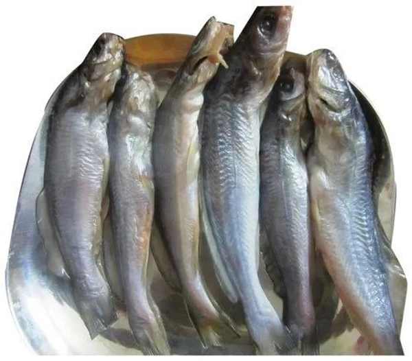 Deshi Tangra 250g - Cleaned Box Packed, 250g, Box Packed