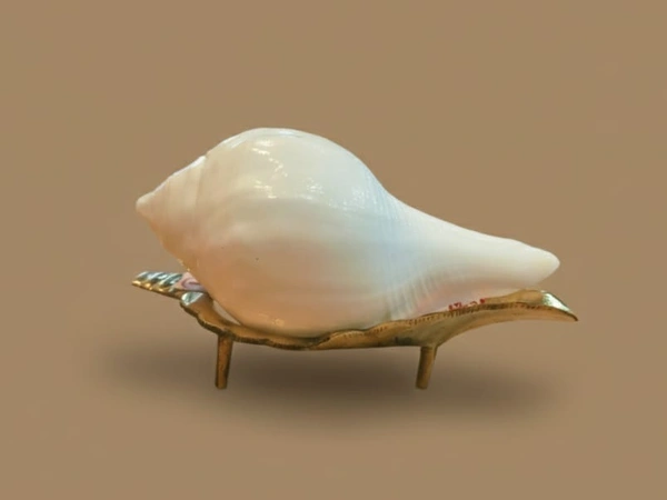 Dashakarma  Jol Sankha - Set