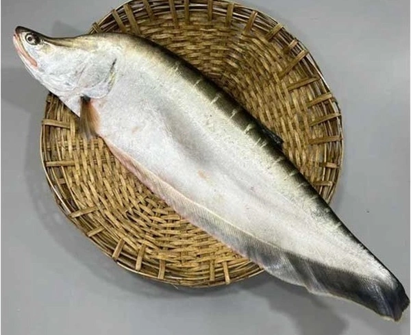 Desi Chitol - Cleaned Box Packed, 250g, Box Packed