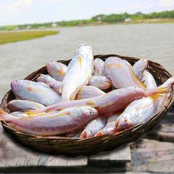 Desi Bhola - Cleaned Box Packed, 250g, Box Packed