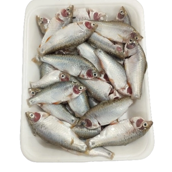 Desi Puti - Cleaned Box Packed, 250g, Box Packed