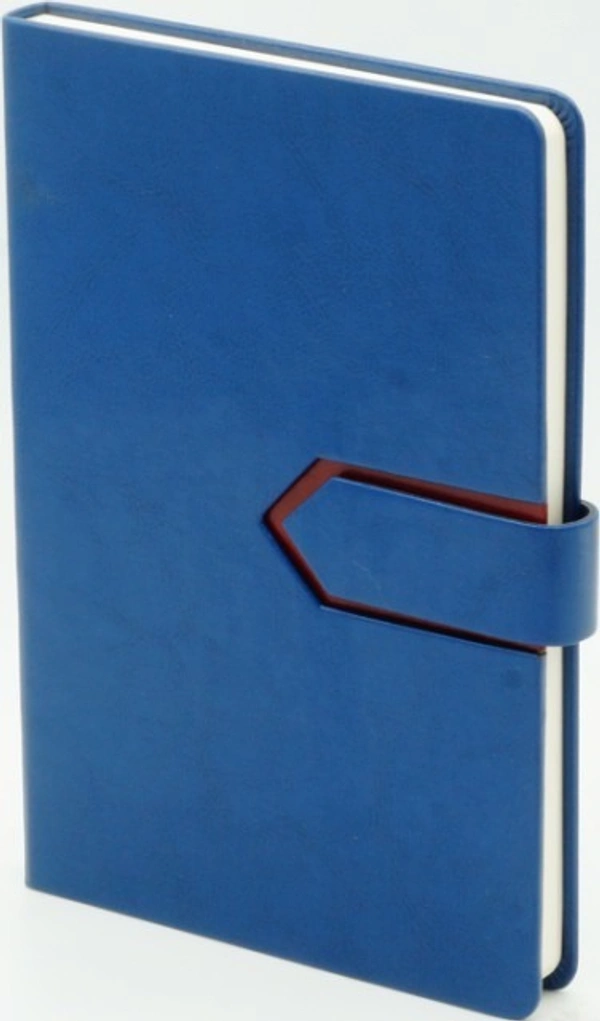 Two Colour Fancy Diary A/5 Size WE4 - Blue