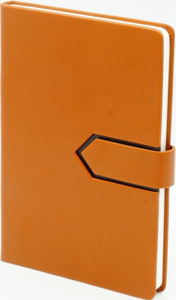 Two Colour Fancy Diary A/5 Size WE4 - Brown