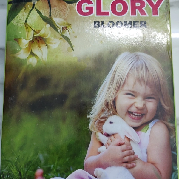 Glory Printed Bloomer Pant - ASST, 28