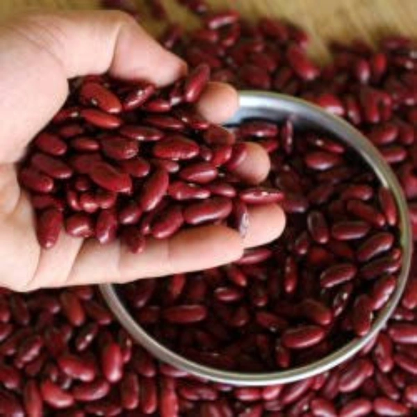 Rajmah Red Big (Capsule) - 250gm