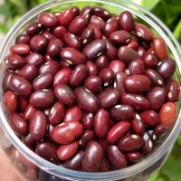 Rajmah Red Small (Jammu Wale) - 1kg