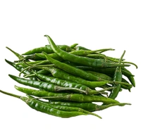 Chilli - Green Long Medium